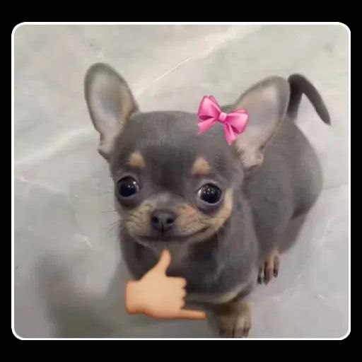Soy esa